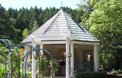 Gazebo Roof