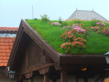 green roof